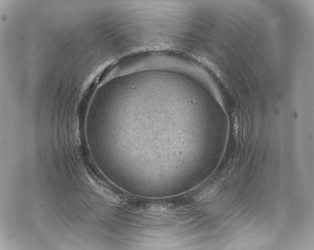 X0000070370684200606161318