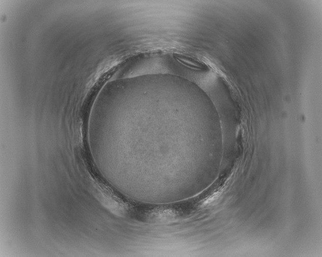 X0000070370685200606161318