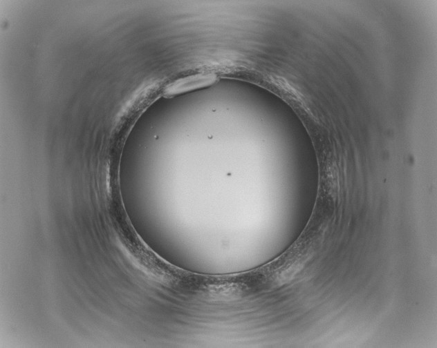 X0000070370686200606161318