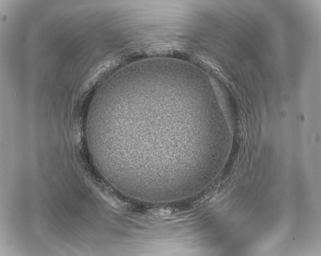 X0000070370687200606161318