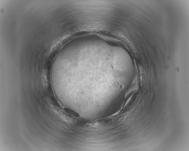 X0000070370688200606161318