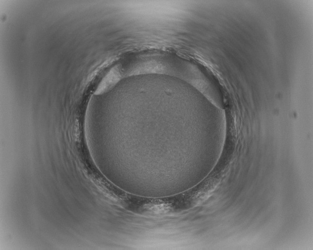 X0000070370689200606161318