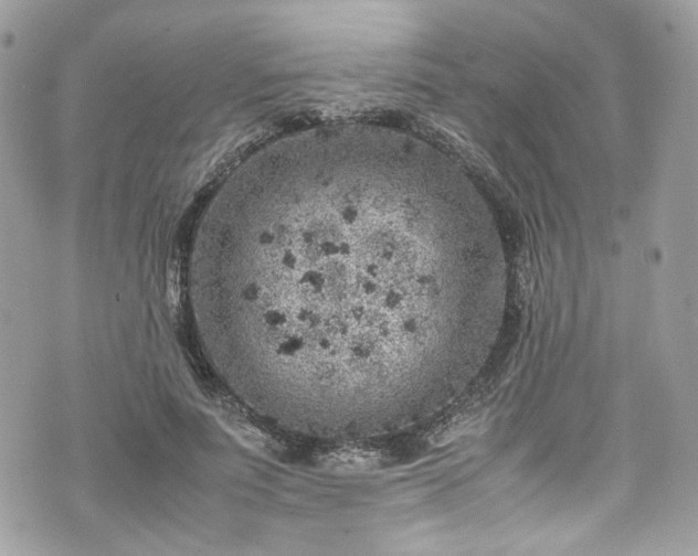 X0000070370691200606161318