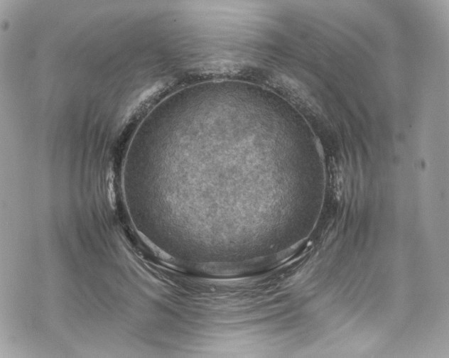 X0000070370692200606161317