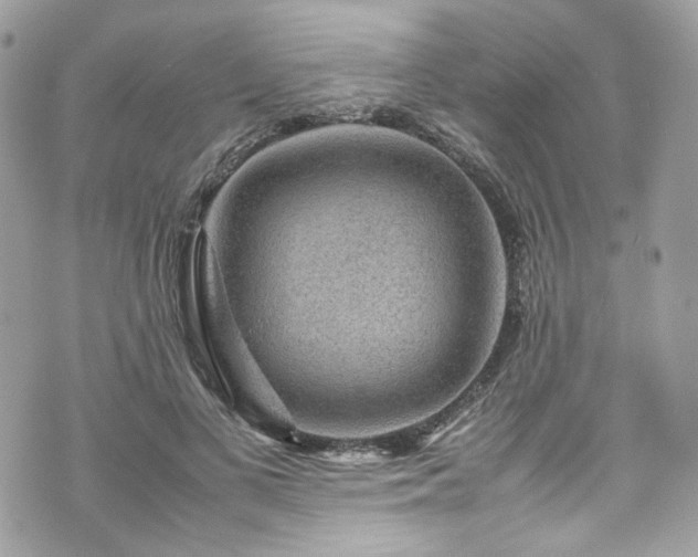 X0000070370693200606161317