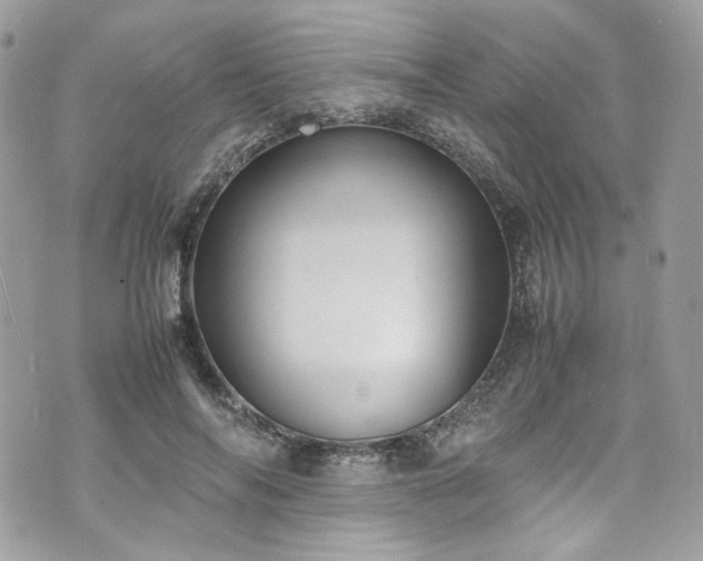 X0000070370694200606161317