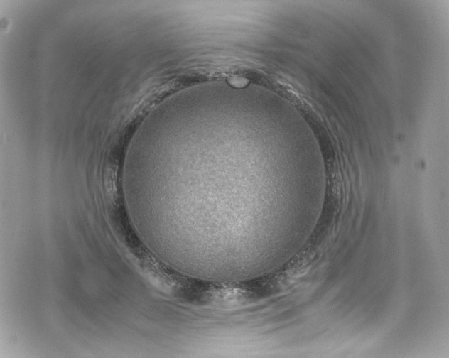 X0000070370695200606161317