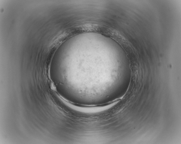 X0000070370696200606161317