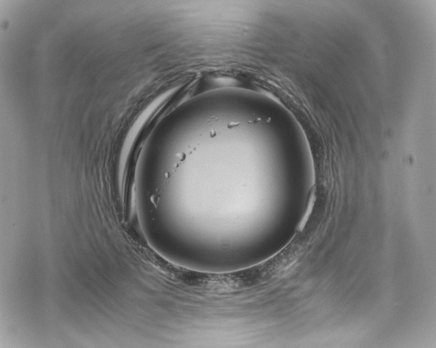 X0000070370697200606161317