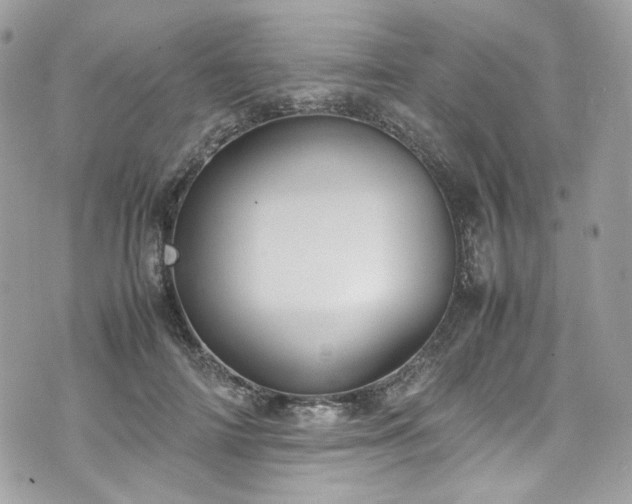 X0000070370698200606161317