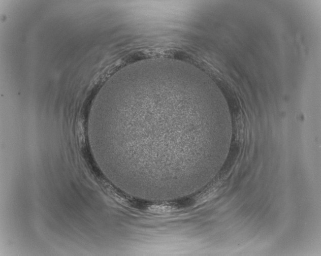 X0000070370699200606161317