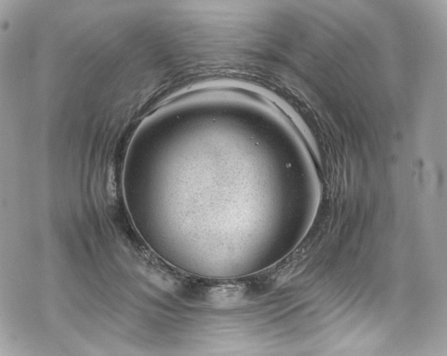 X0000070370700200606161317