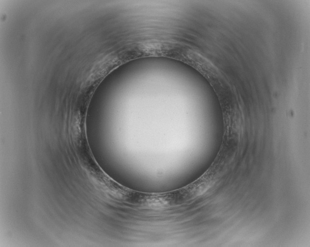 X0000070370702200606161317