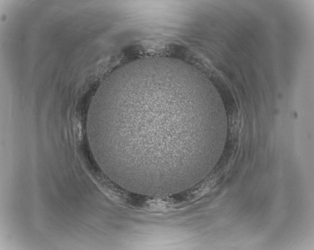 X0000070370703200606161317