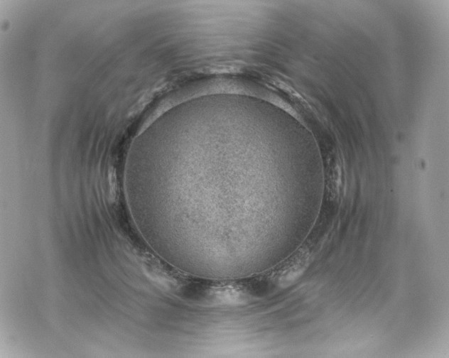 X0000070370704200606161317