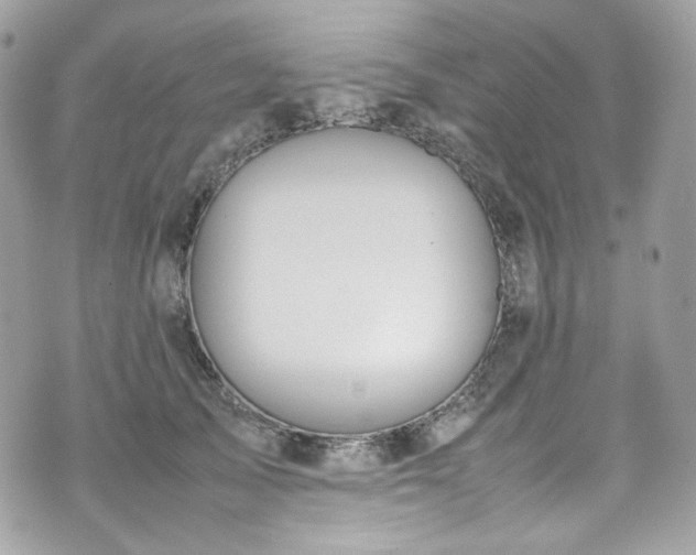 X0000070370705200606161317