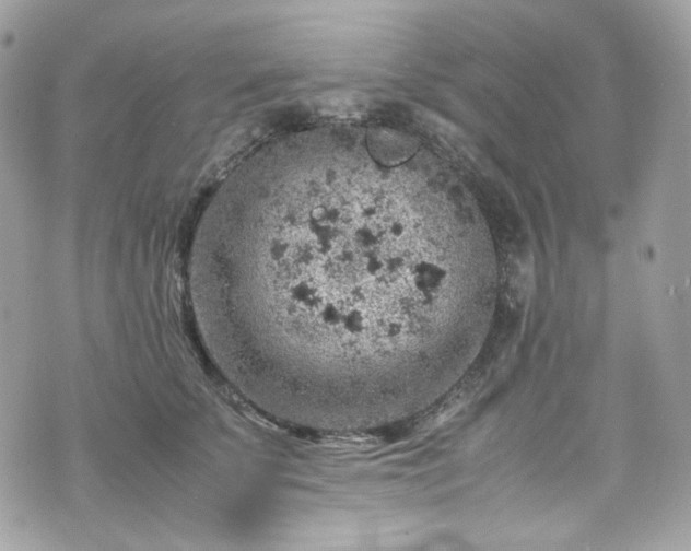 X0000070370707200606161317