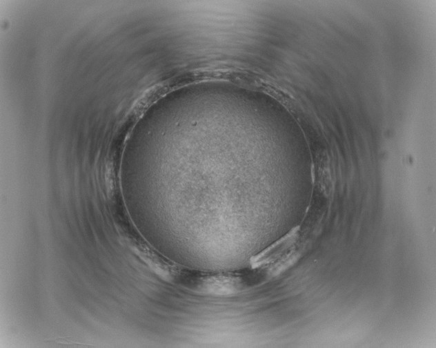 X0000070370708200606161317