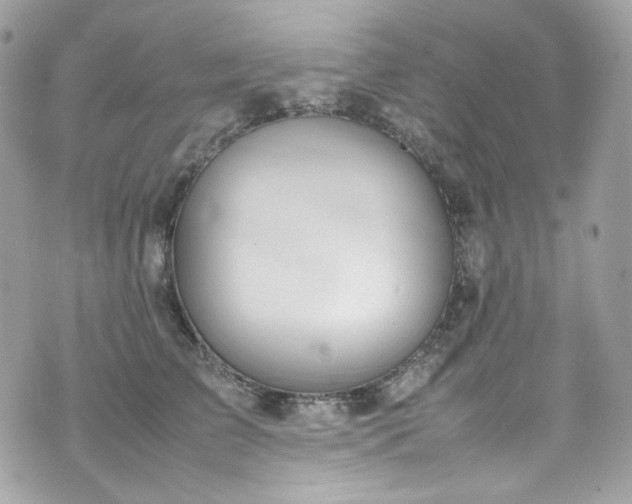 X0000070370709200606161317