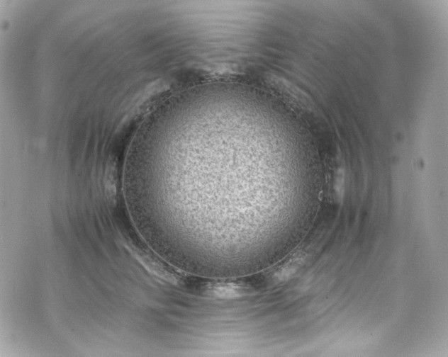 X0000070370710200606161317