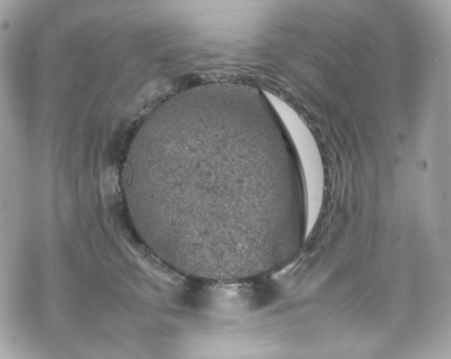 X0000070370711200606161317