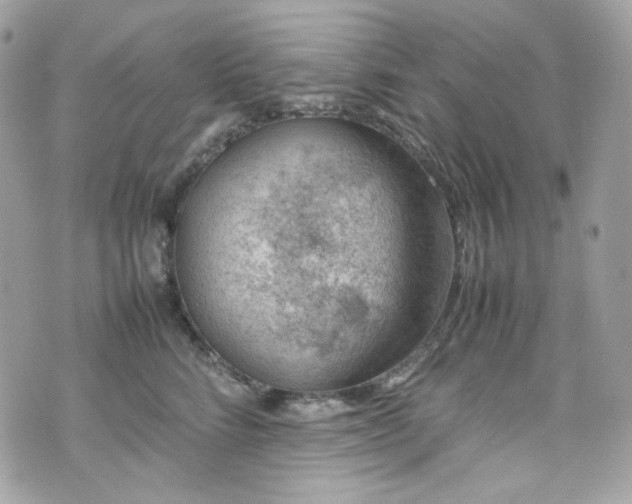 X0000070370712200606161317