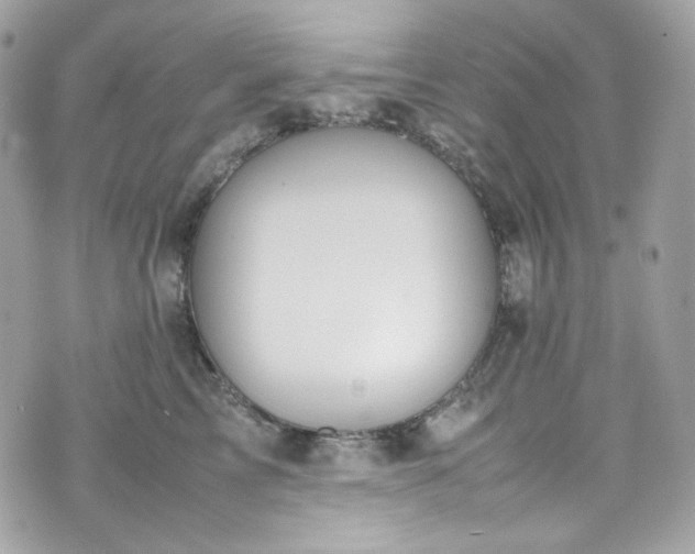 X0000070370713200606161317