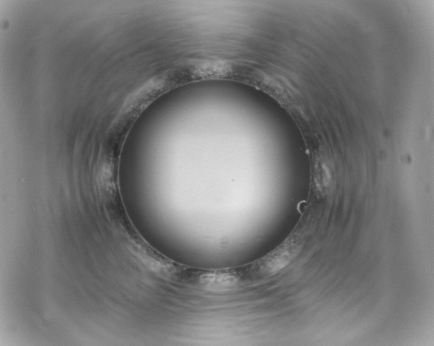 X0000070370714200606161317