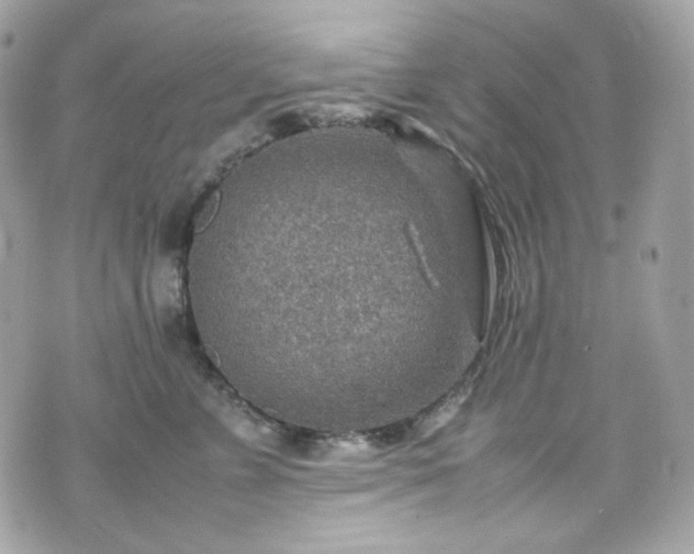 X0000070370715200606161317