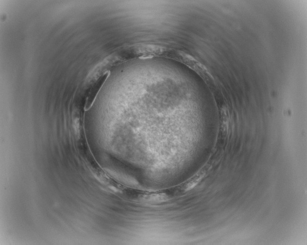 X0000070370716200606161317