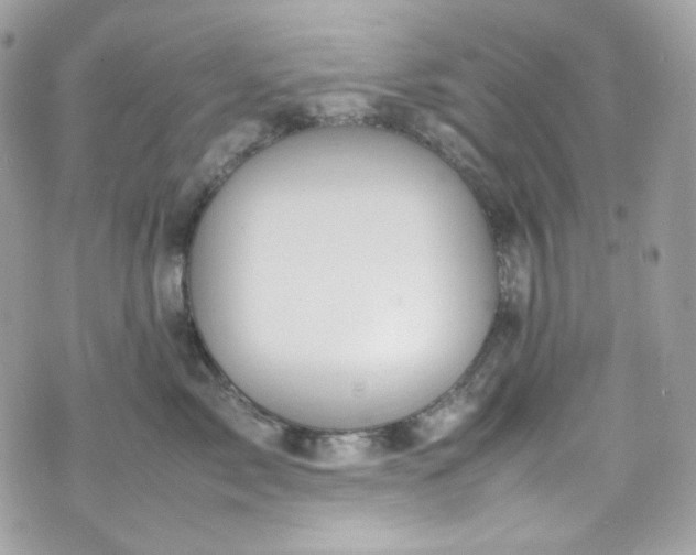 X0000070370717200606161317