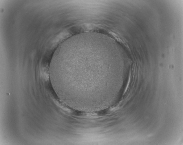 X0000070370719200606161317