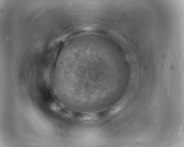 X0000070370720200606161317