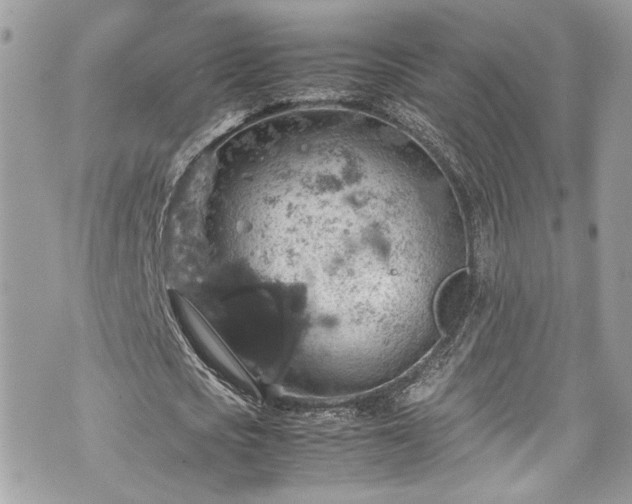 X0000070370721200606161316