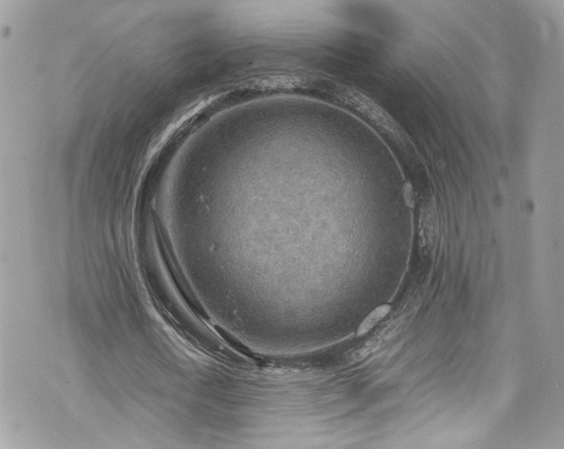 X0000070370722200606161316