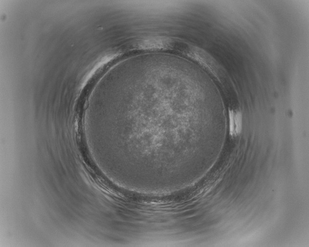 X0000070370723200606161316