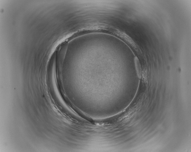 X0000070370724200606161316