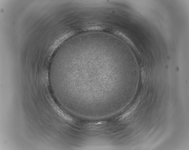 X0000070370725200606161316