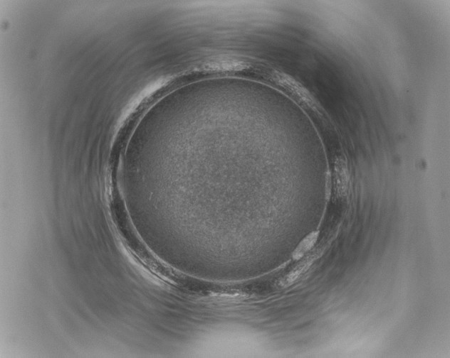 X0000070370726200606161316