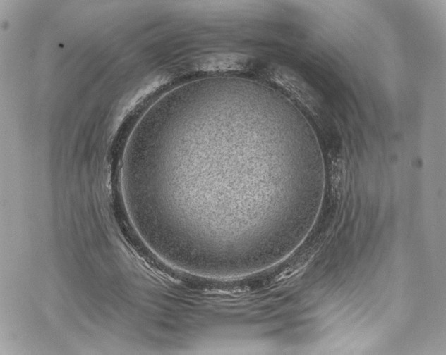 X0000070370727200606161316