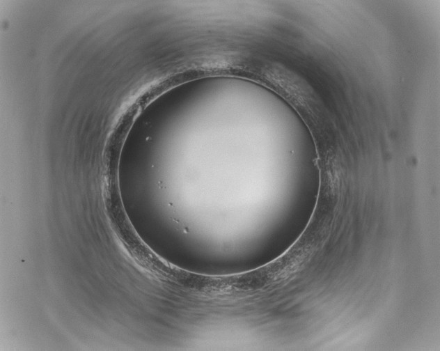 X0000070370728200606161316