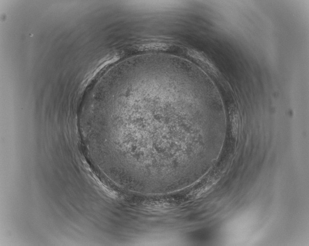 X0000070370729200606161316