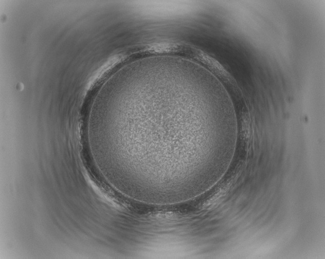 X0000070370730200606161316