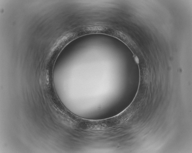 X0000070370731200606161316