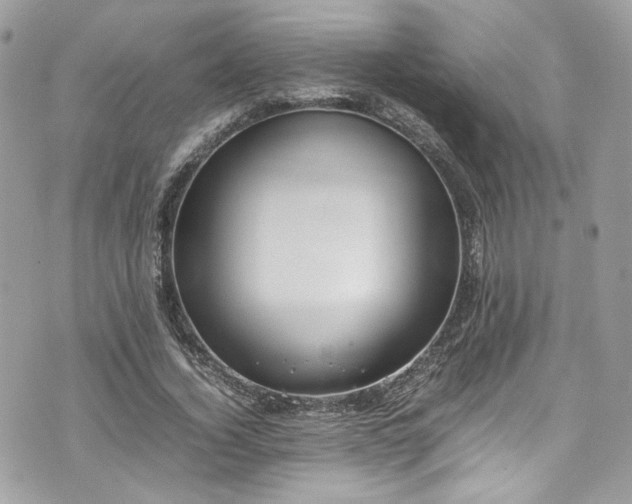 X0000070370732200606161316