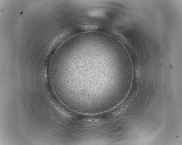 X0000070370733200606161316