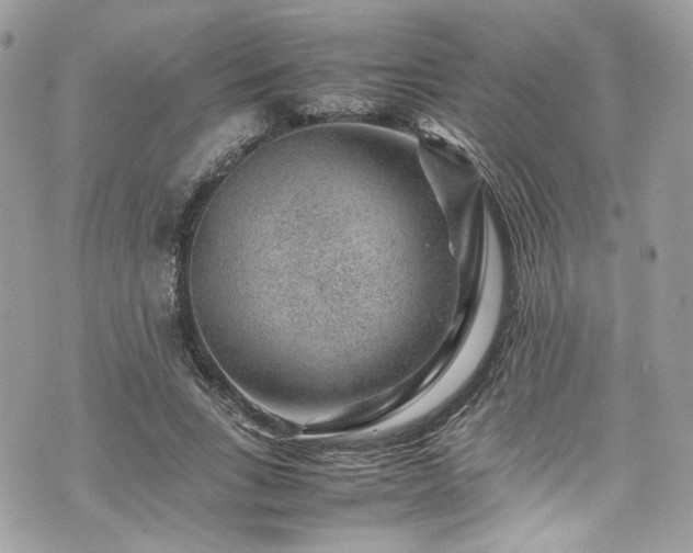 X0000070370735200606161316