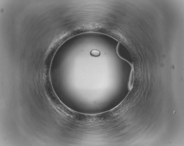 X0000070370736200606161316