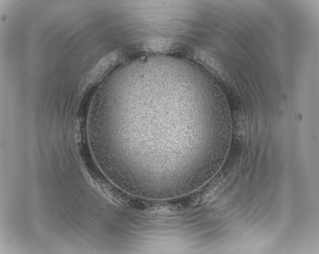 X0000070370738200606161316