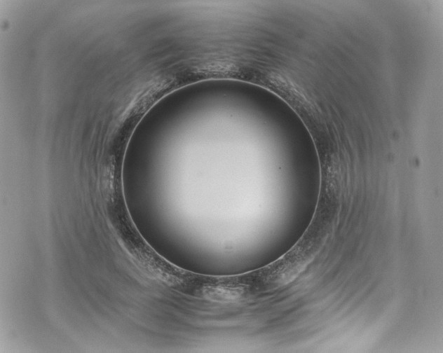 X0000070370739200606161316